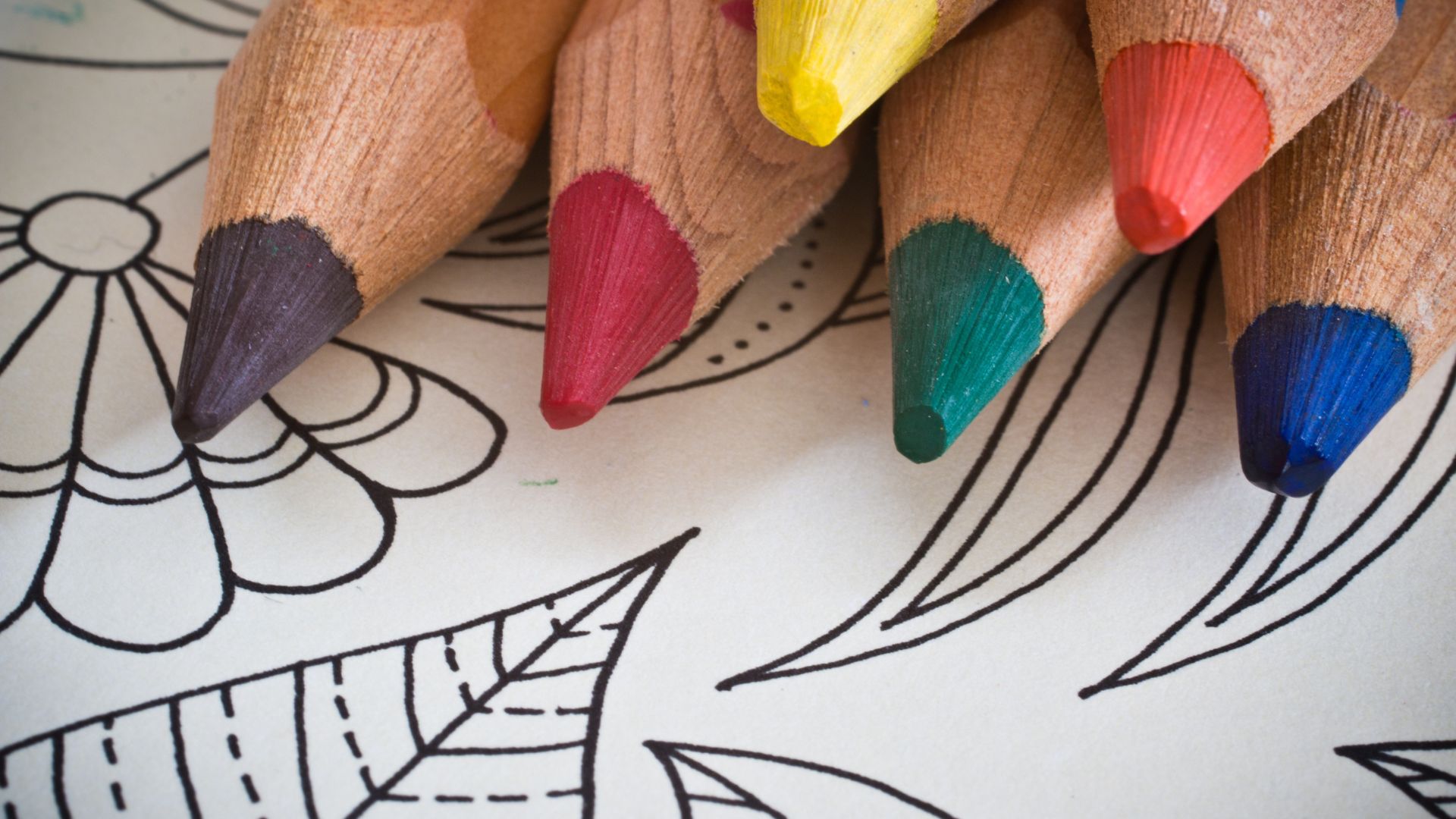 Coloring pages and coloring pencils