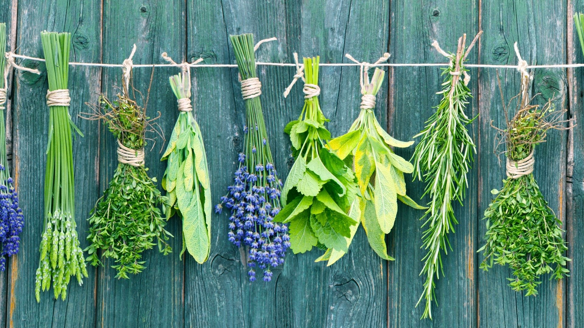 dried herbs and spices hanging from a line