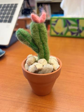 needle felted cactus in a terra cotta pot