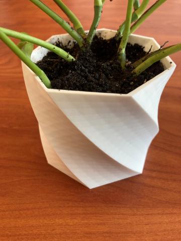 Spiral pot with a plant growing in it.