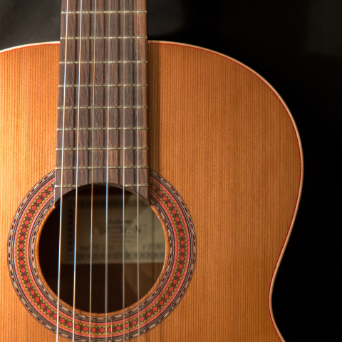 decorative image of a guitar