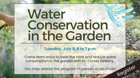 Water Conservation in the Garden