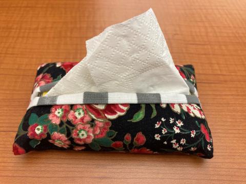 fabric tissue holder with tissues in it