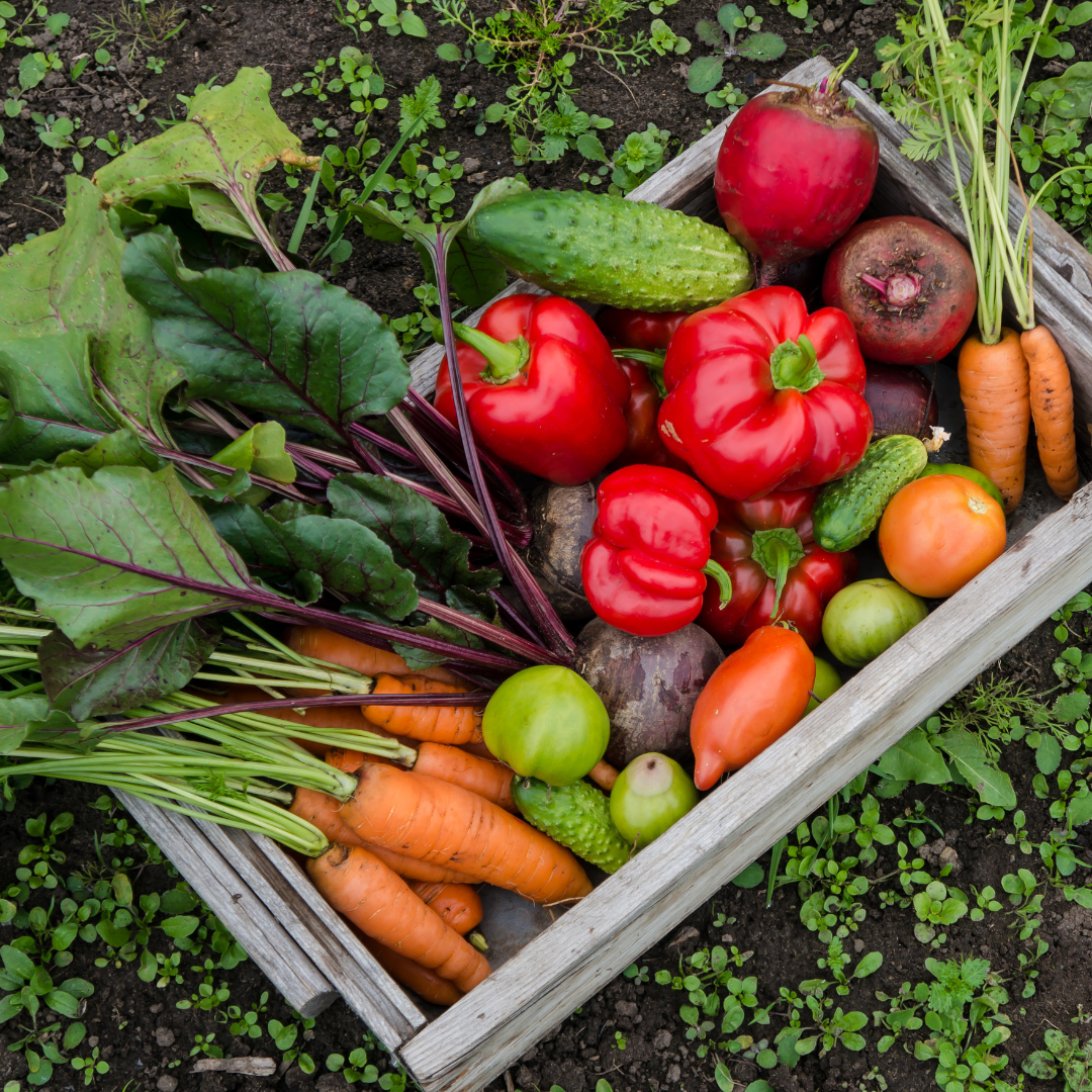 decorative image of fresh produce