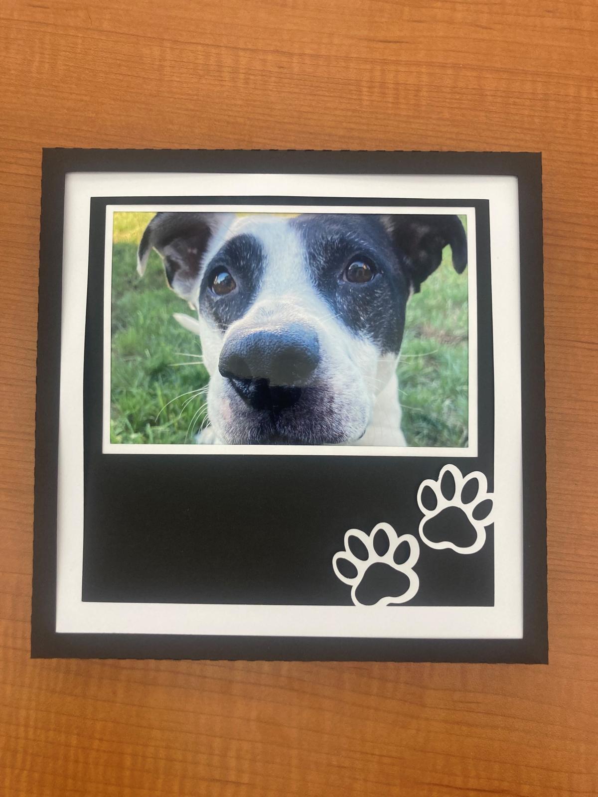cardstock frame for 4x6 photo