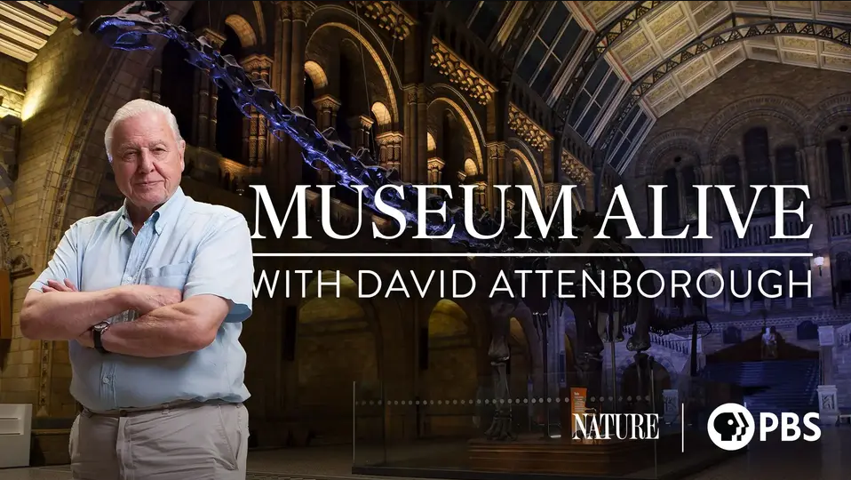 museum alive with david attenborough